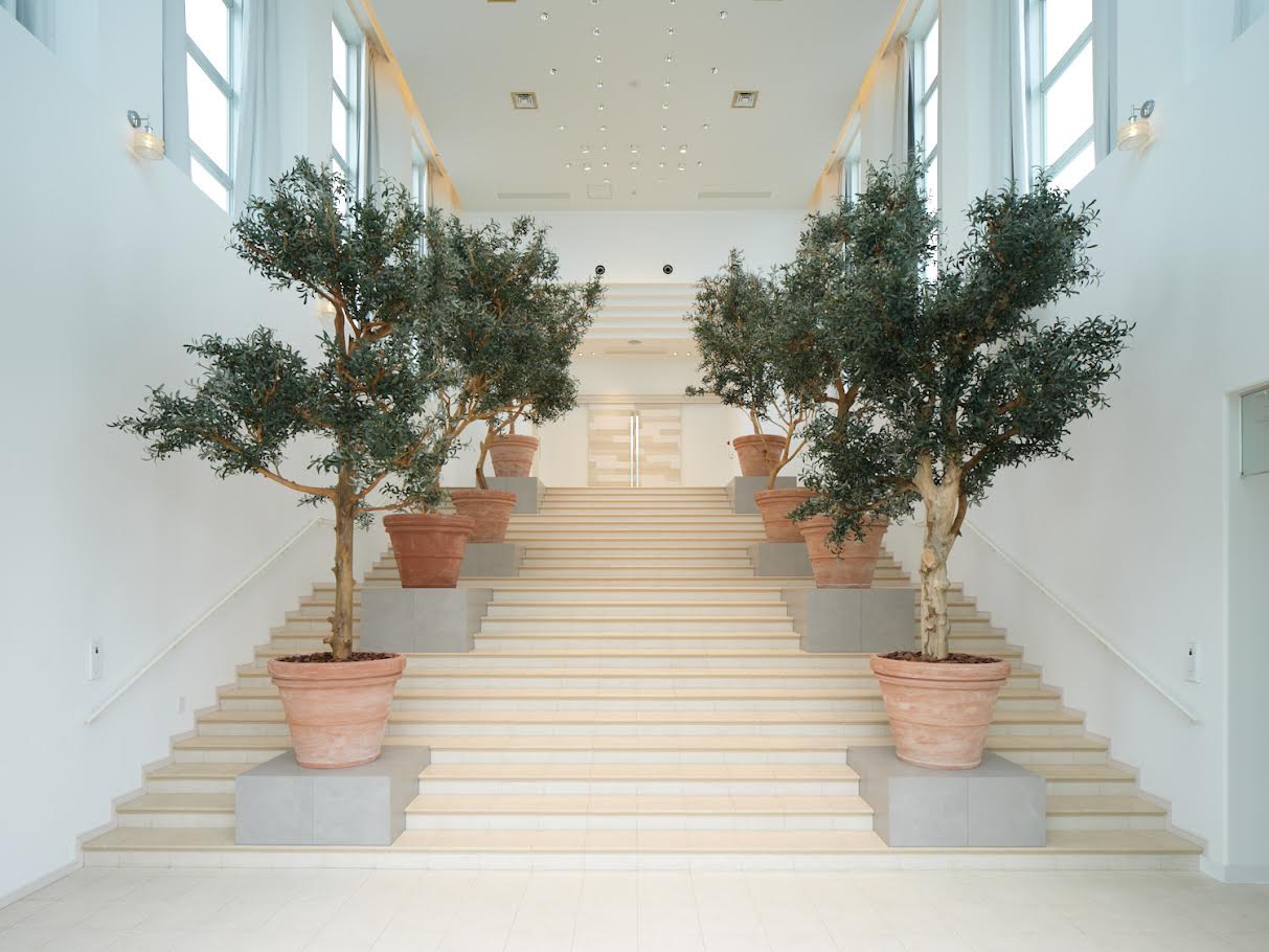 メンテナンス不要の大型ディスプレイ盆栽