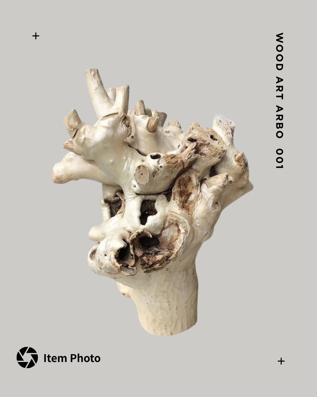 「空間の盆栽」としての流木・白樺