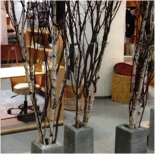 雑貨店で白樺の枝ご利用